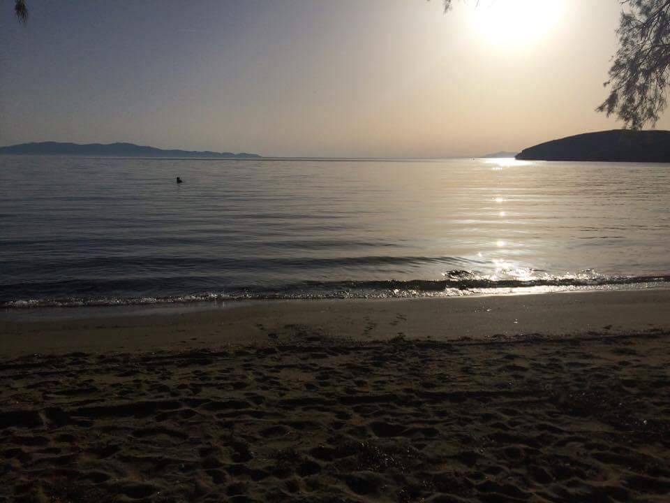 Elia Apartments Agios Romanos ภายนอก รูปภาพ