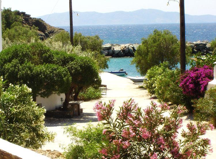 Elia Apartments Agios Romanos ภายนอก รูปภาพ